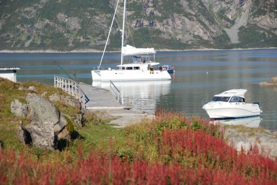 2 Days VIP tour to beautiful Risøy