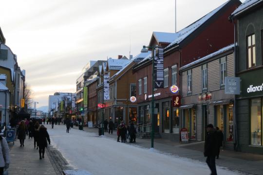 Essential Tromsø: Historial City Walk - Tromsø Budget Tours