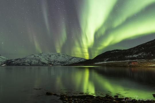 Private Northern Light chase in a small group