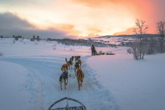 View from the sled, sunlight and clouds in the background