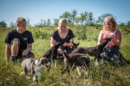 Three persons together with puppies