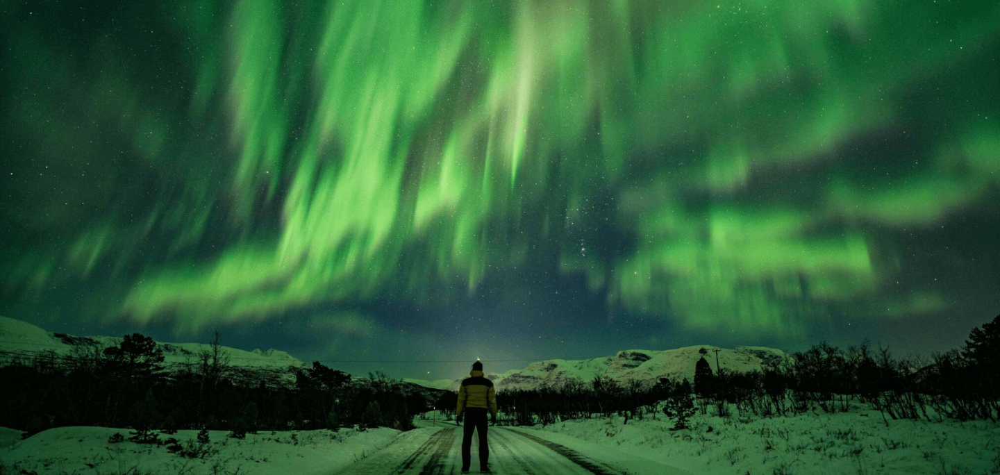 A person under the northern lights