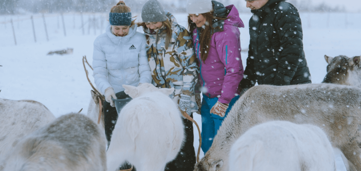 Familie hilser på reinsdyr i Tromsø