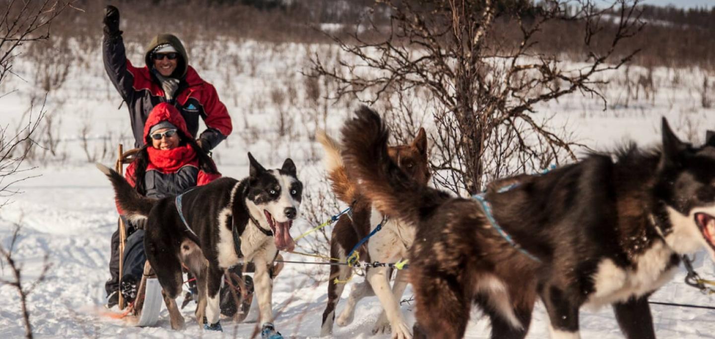 Arctic Adventure Tours of Kvaløya with Alaskan huskies 