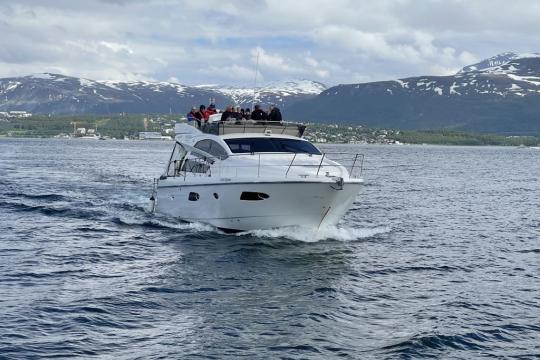 Exclusive Fjord tour - Luxury boat - VIP Minivan and visit The Coziest cafe