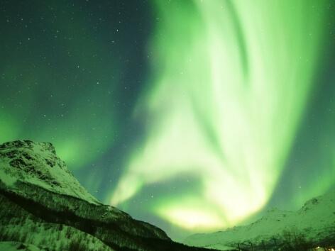 Amazing Arctic Northern Light