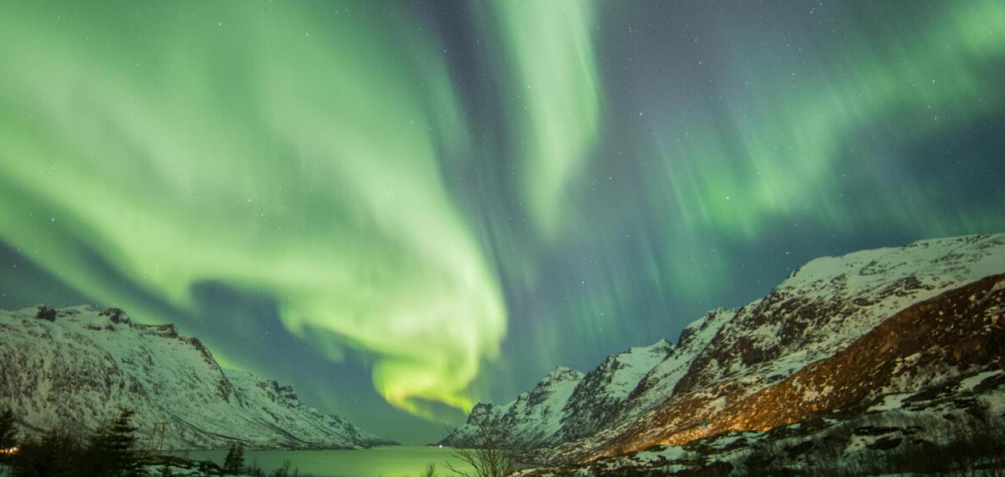 Arctic Guide Service in Tromsø, North Cape and Lofoten. Northern lights chase, sightseeing or a city walk