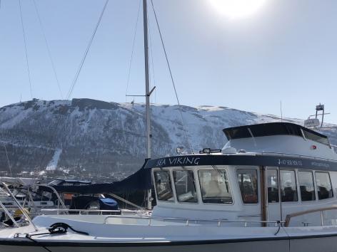 sea viking boat Arctic Yachting