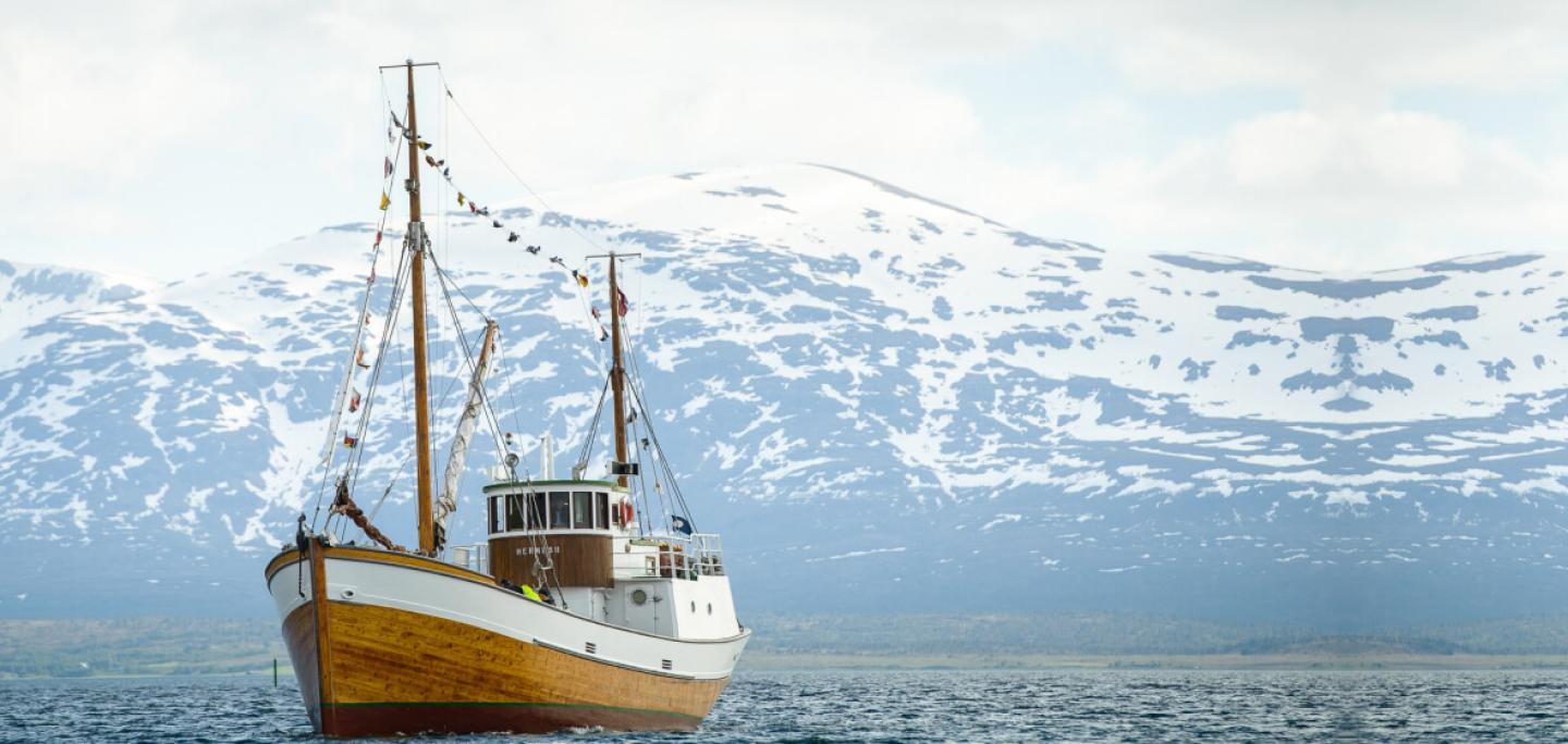 boat Hermes Tromsø mountains