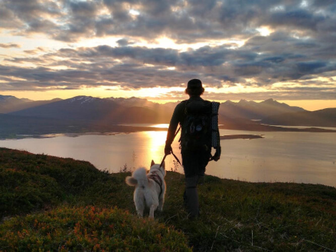 Mountain walk with dog midnight sun